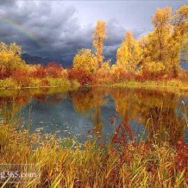 此景只应天上有