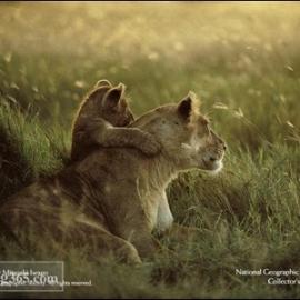 从美国拍到一的组风景图 12张