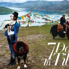 7天在西藏―Indonesia Bazaar11月刊