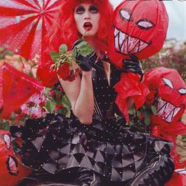 蒂姆-沃克镜头下的