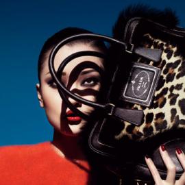 名模杜鹃摄影欣赏