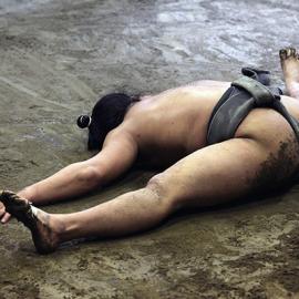 2015索尼国际摄影大赛最终入围作品