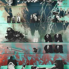 The Populist Camera by Matt Lipps