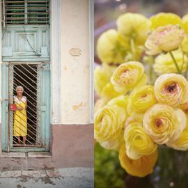 Shevaun Williams摄影作品：哈瓦那