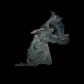 Gabriele Viertel的水下摄影作品