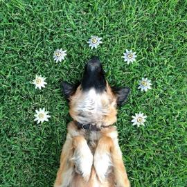 40张唯美色彩摄影