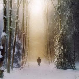 35个乡间森林美景