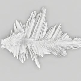 2014连州国际摄影年展