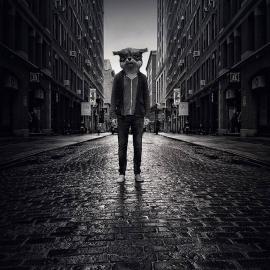 Jason Peterson的Into the dark