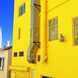 色彩明丽的纽约市