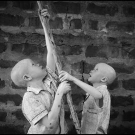 36张2015索尼世界摄影奖作品赏析