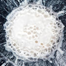 chladni 潘趣酒杯使风味和声音可视化