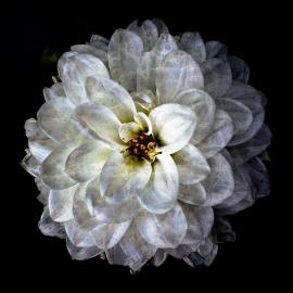 德国摄影师Bettina Güber作品