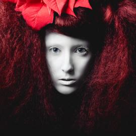 Ibai Acevedo摄影作品