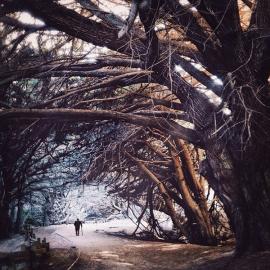 Robert Jahns的超现实摄影