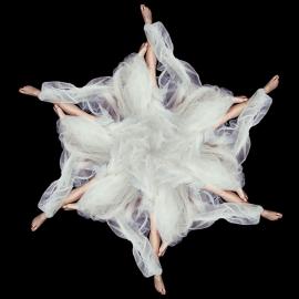 匈牙利艺术家flóra borsi观念摄影