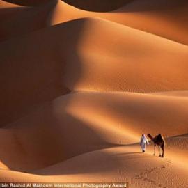 第三届哈姆丹国际摄影大赛入围佳作