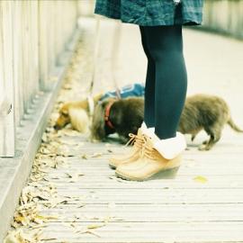 lilonala摄影作品