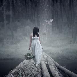 Achmad Kurniawan摄影作品