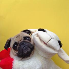 Jeremy Veach摄影作品