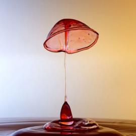 Tapan Sheth-液体雕塑