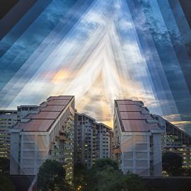 Fong Qi Wei 时间的波动