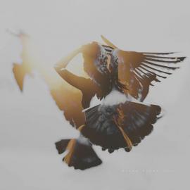 Ilse Moore摄影作品