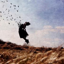 Brooke DiDonato摄影作品