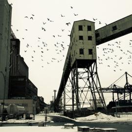 Julien Coquentin《星期天的早晨》摄影作品欣赏