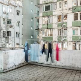 Bence Bakonyi摄影作品