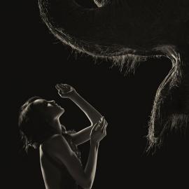 Zoltan Mihaly：灵魂的形状