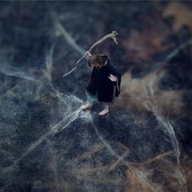 14岁天才摄影师的奇幻世界