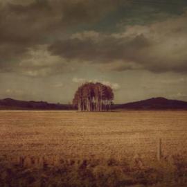 cally whitham 摄影