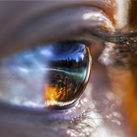 《国家地理》影赛优秀参赛作品展