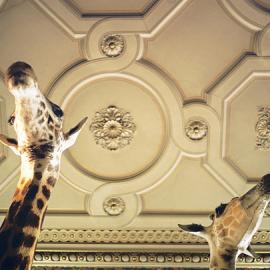 Clemens Fantur摄影作品