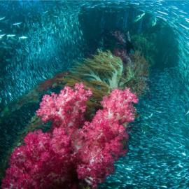 摄影师Alexander Safonov镜头里的水世界