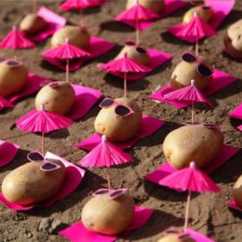 小土豆的时髦“假期”