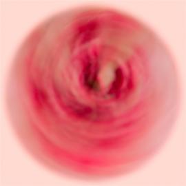 观念摄影：旋转花色