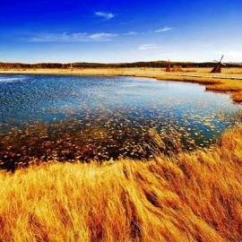 “最美中国大地摄影大赛”获奖作品欣赏