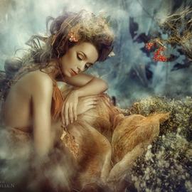 Petrova Julian摄影作品欣赏