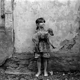 Михаил Иоаниди摄影作品