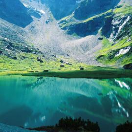 Julia Presslauer摄影作品