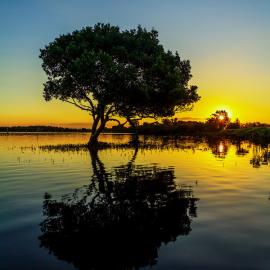 Hutchinson 环球美景