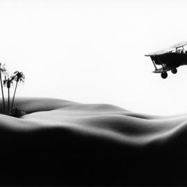 Allen Teger微型人体风景