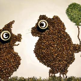 Irina Nikitina咖啡豆摄影