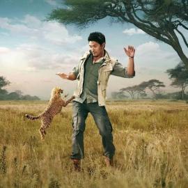 Garrigosa Studio创意广告摄影