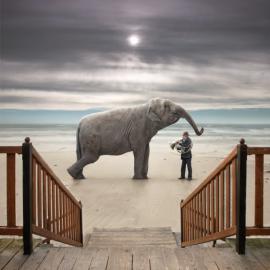 苍凉的奇幻世界