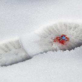 艺术摄影：小人国逆袭