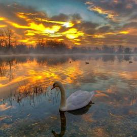 水中的倒影摄影艺术欣赏