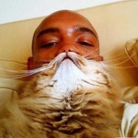 主人与猫猫们的借位摄影